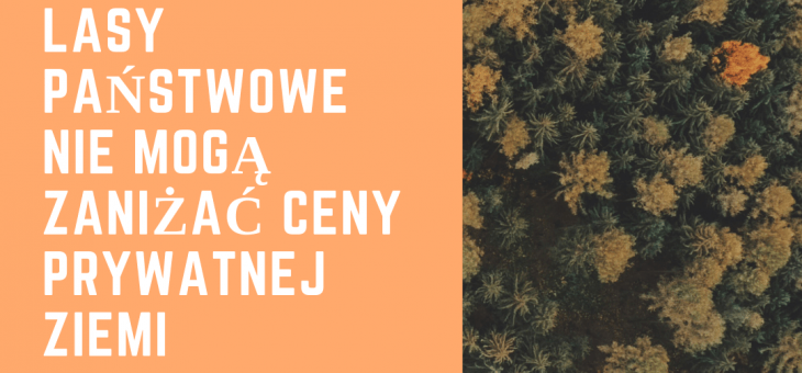 Rzeczpospolita – Lasy Państwowe nie&nbsp;mogą zaniżać ceny prywatnej ziemi